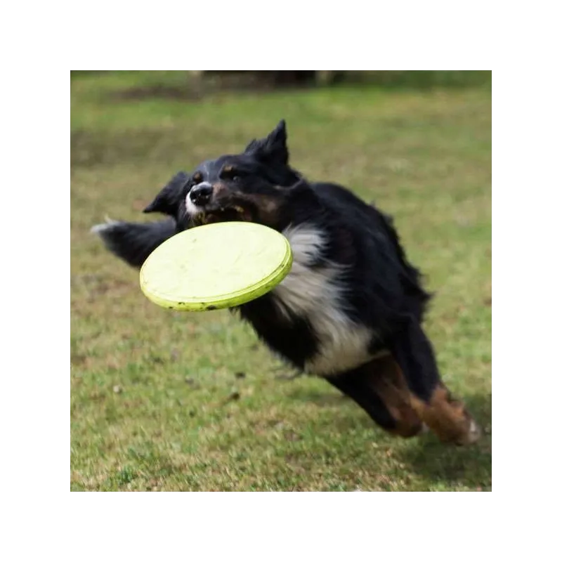 Hundespielzeug & Sport PROCYON TPR Frisbee jetzt online