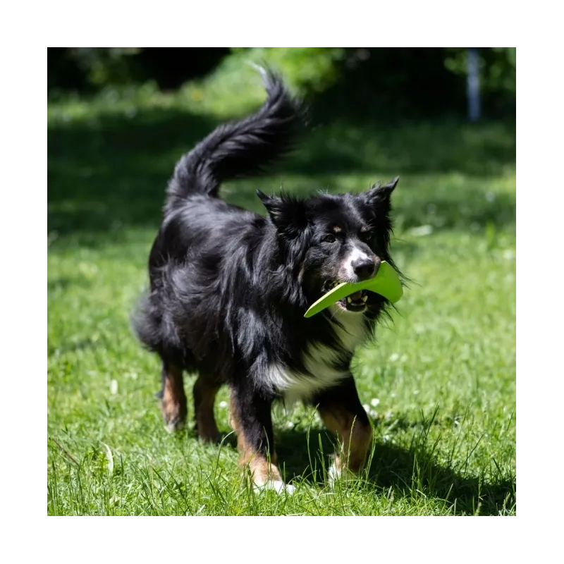 Hundespielzeug & Sport PROCYON TPR Boomerang jetzt online