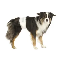 Pflege & Gesundheit Trixie Hundewindeln für Rüden - L-XL jetzt online