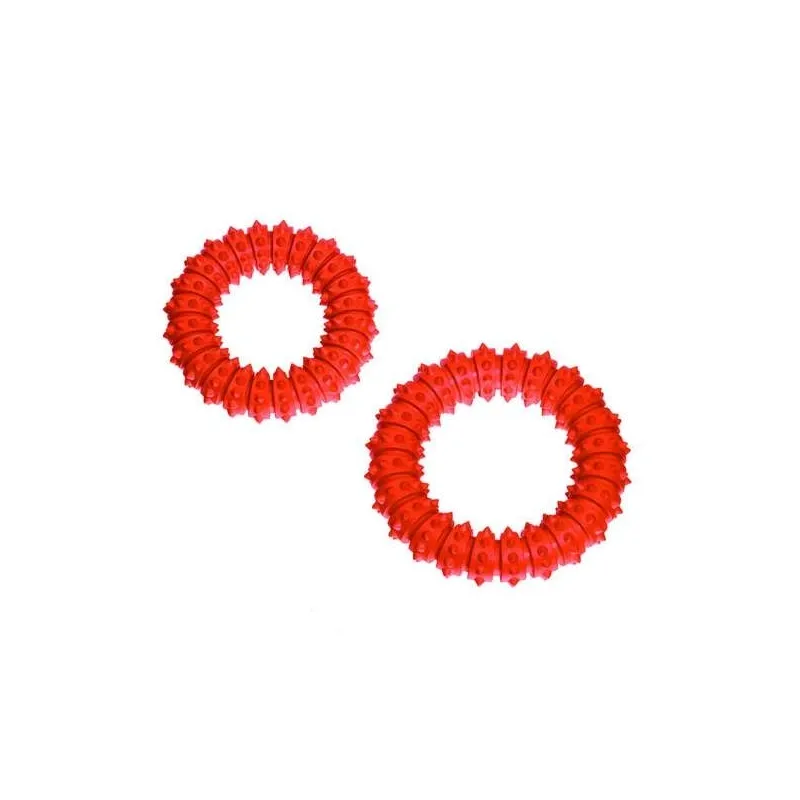 Hundespielzeug & Sport Karlie BOOMER AQUA Ring - 15 cm jetzt online