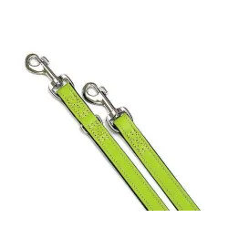 Leinen Karlie VINTAGE Führleine - Kiwi - 22 mm, 200 cm jetzt online