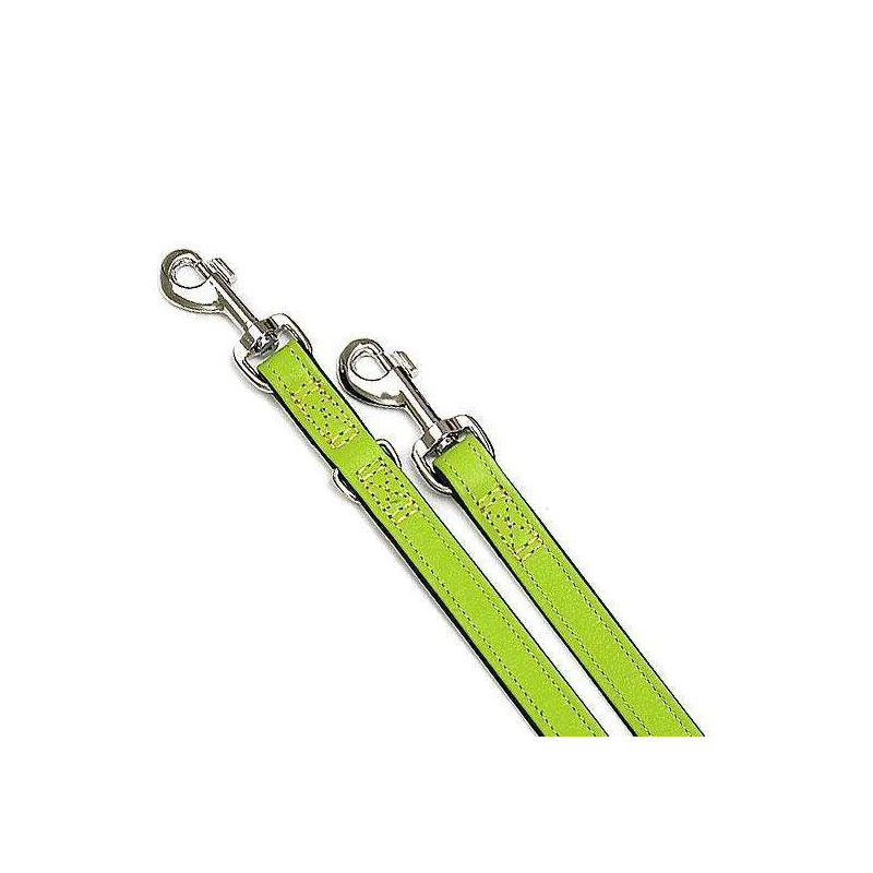 Leinen Karlie VINTAGE Führleine - Kiwi - 22 mm, 200 cm jetzt online