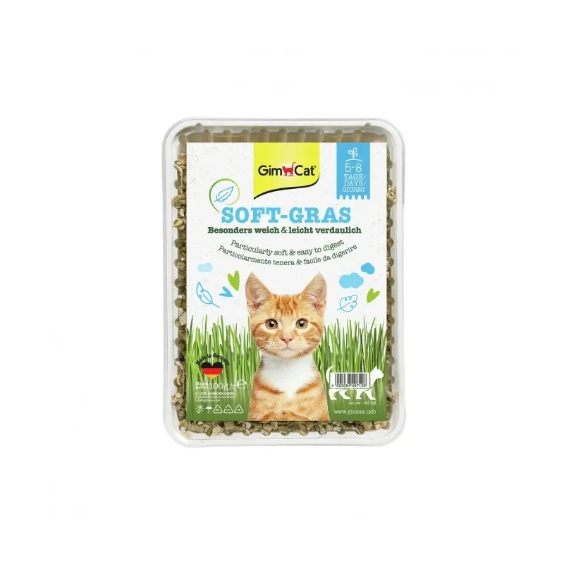 Katzenwelt GimCat Soft-Gras 100g jetzt online