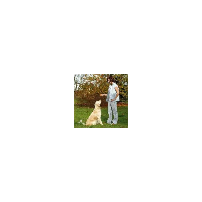 Erziehung Karlie Doppelclicker jetzt online