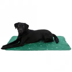 Hundewelt Trixie Xmas Fleecedecke Luciano - 150 x 100 cm jetzt online