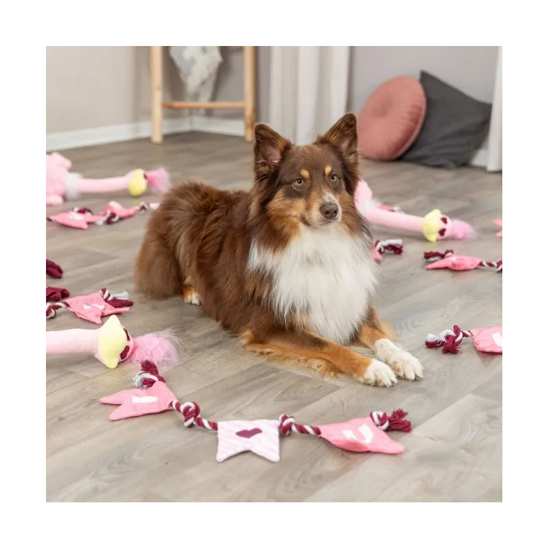 Hundespielzeug & Sport Trixie Hundespielzeug Valentines Tau jetzt...