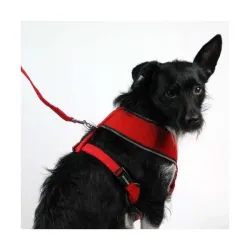 Halsbänder & Leinen Pet-Star Softgeschirr / Netzgeschirr - Rot -...