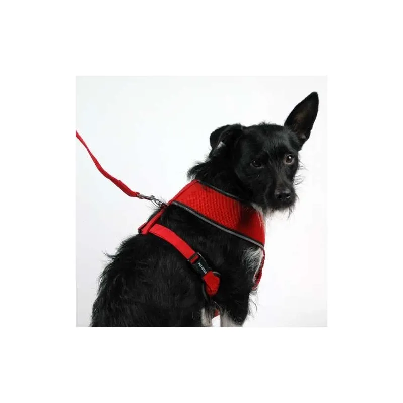 Halsbänder & Leinen Pet-Star Softgeschirr / Netzgeschirr - Rot -...