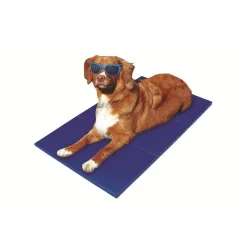 Betten & Körbe Pet-Star Kühlmatte - 65 x 50 cm jetzt online
