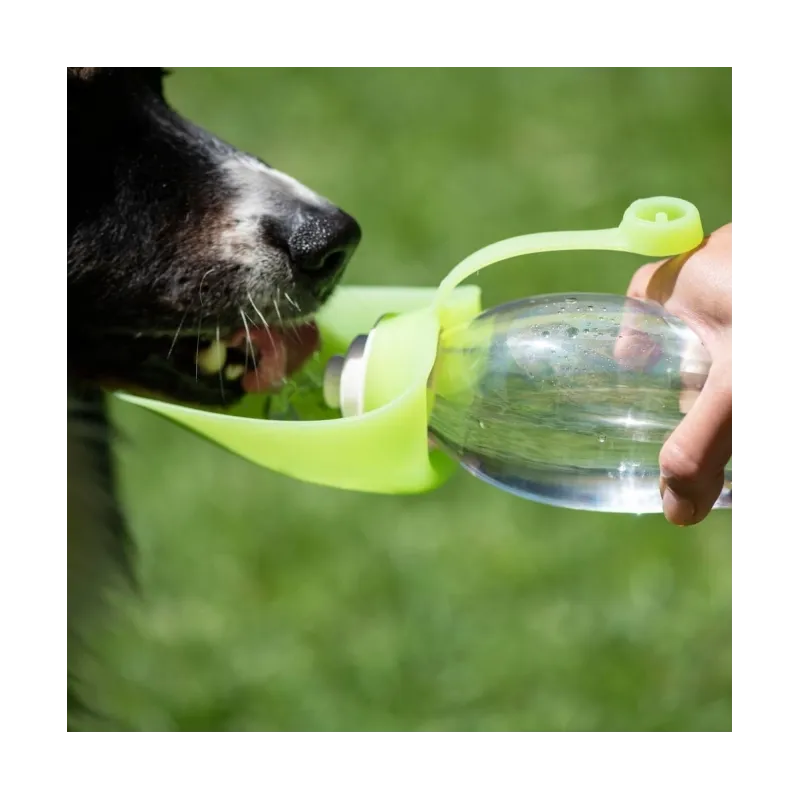 Reise & Transport PROCYON Trinkflasche Leaf jetzt online