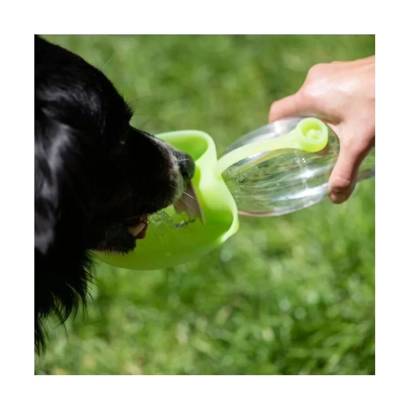 Reise & Transport PROCYON Trinkflasche Leaf jetzt online