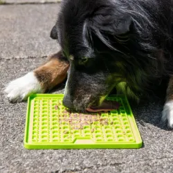 Hundespielzeug & Sport PROCYON Ladi Mat Schleckplatte Small jetzt...