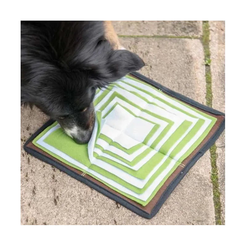 Hundespielzeug & Sport PROCYON Schnüffelpyramide jetzt online