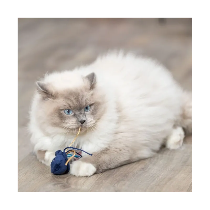 Katzenspielzeug Trixie Katzenspielzeug Meerestiere jetzt online