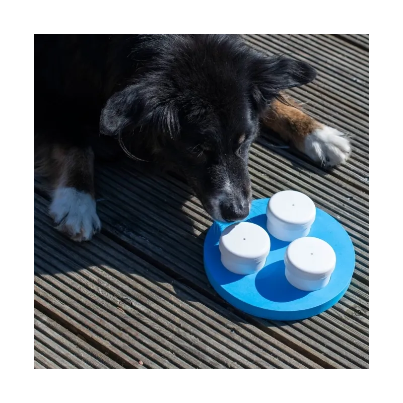 Hundespielzeug & Sport PROCYON Schnüffel-Ring jetzt online