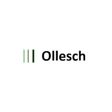 Ollesch